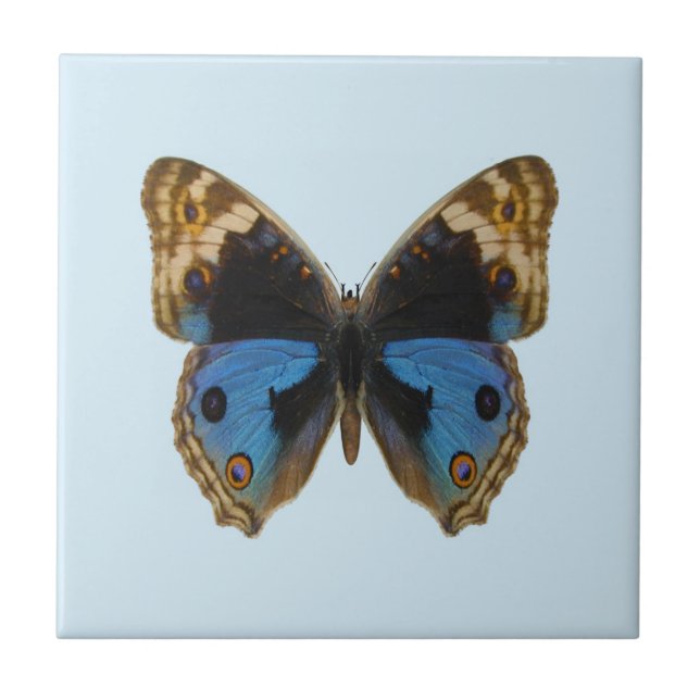 Carreau Papillon Pansy Bleu (Devant)