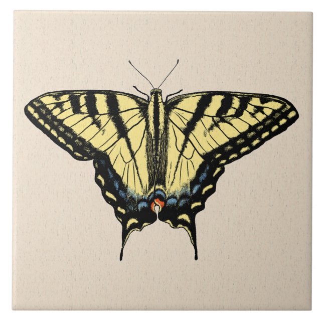 Carreau Papillon Southwestern jaune Swallowtail (Devant)