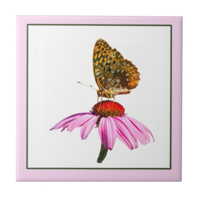 Carreau Papillon sur Echinacea pourpre (Devant)