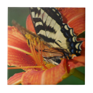 Carreau Papillon sur le lis