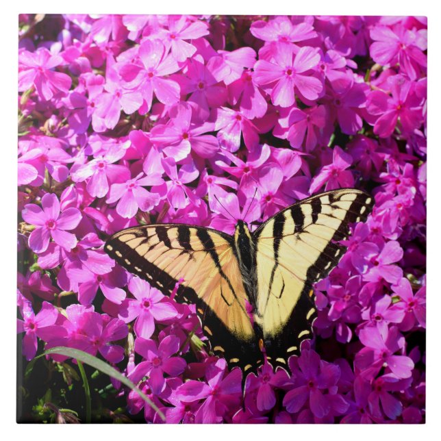 Carreau Papillon Swallowtail au lit de fleurs (Devant)