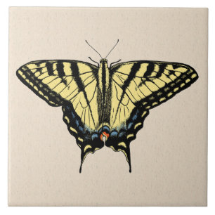 Carreau Papillon swallowtail jaune du Sud-Ouest