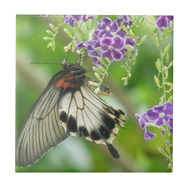 Carreau Papillons et tuile de fleurs (Devant)