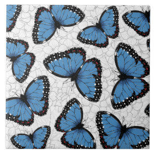 Carreau Papillons morpho bleu