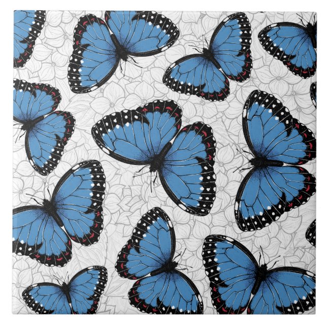 Carreau Papillons morpho bleu (Devant)