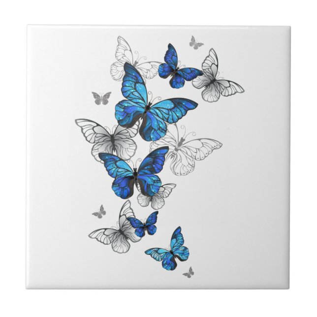 Carreau Papillons volants bleus Morpho (Devant)