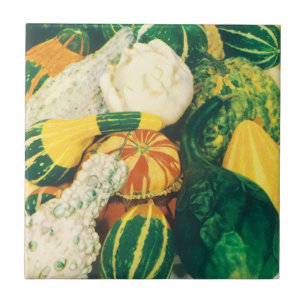 Carreau Paquet de semences vintage, Gourdes mixtes