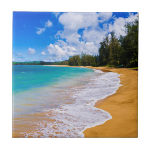Carreau Paradis de plage tropical, Hawaï