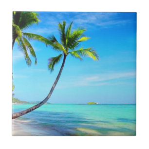 Carreau Paradis tropical Belle plage et palmiers