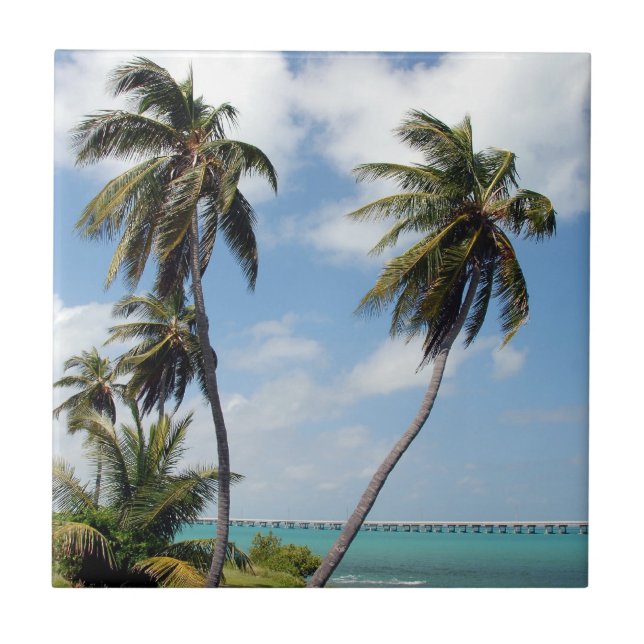 Carreau Parc d'état de Bahia Honda (Devant)