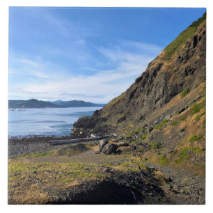 Carreau Parc d'État de Sisters Rock, côte de l'Oregon