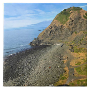 Carreau Parc d'État de Sisters Rock, côte de l'Oregon