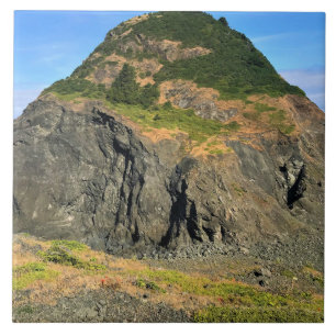 Carreau Parc d'État de Sisters Rock, côte de l'Oregon