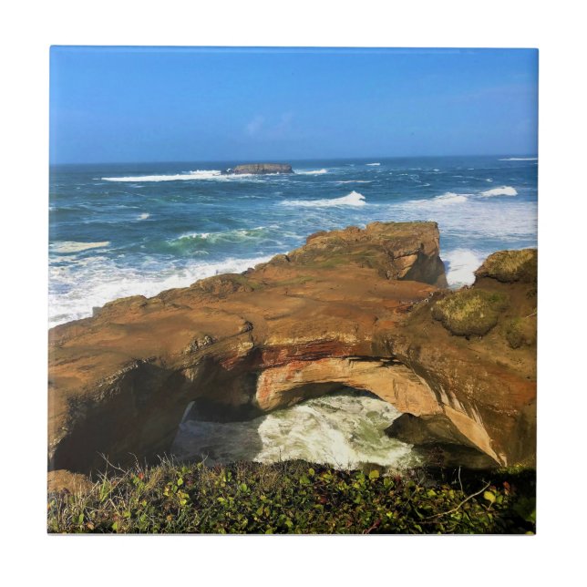 Carreau Parc d'État du Punchbowl dans l'Oregon (Devant)