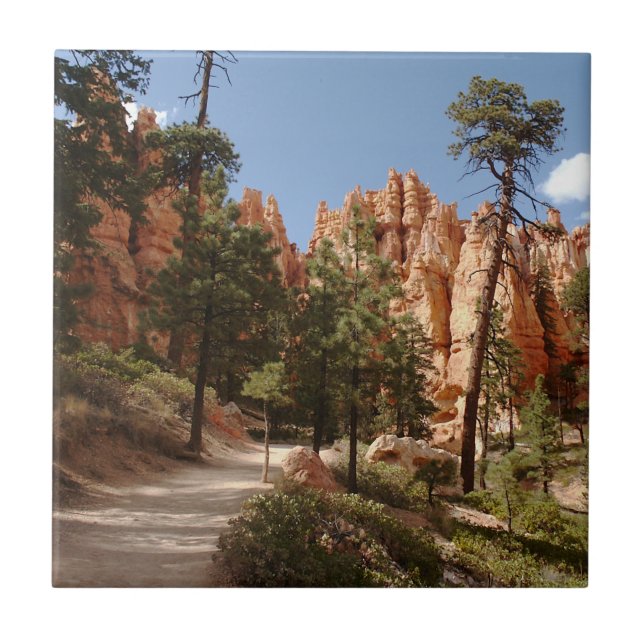 Carreau Parc national Bryce Canyon Trail (Devant)