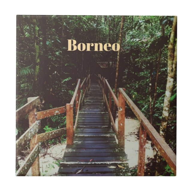 Carreau Parc national de Bako - Bornéo (Devant)