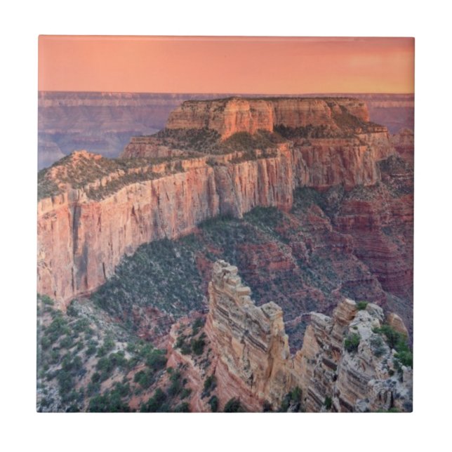 Carreau Parc national de canyon grand, Arizona (Devant)