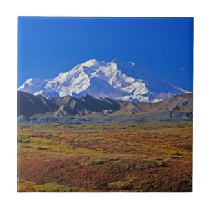 Carreau Parc national de Denali Mt . McKinley, Alaska