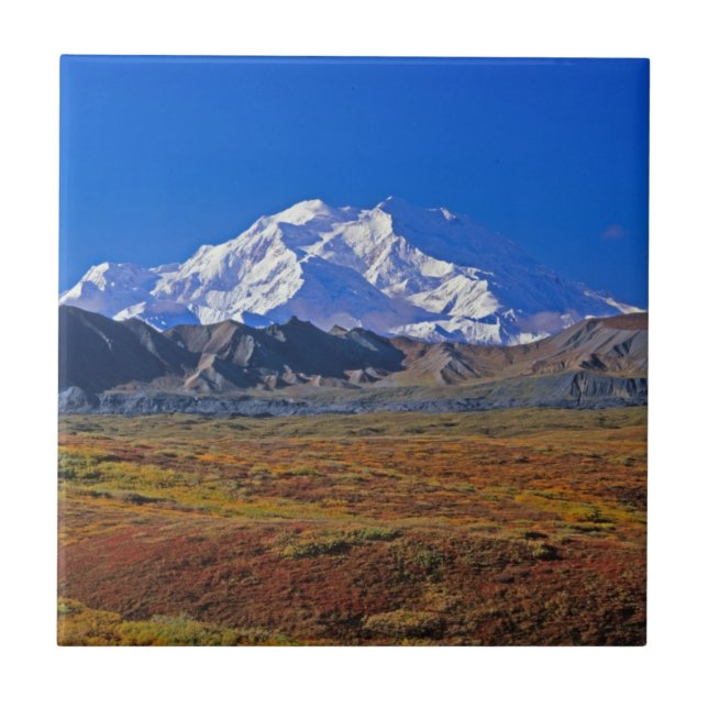 Carreau Parc national de Denali Mt . McKinley, Alaska (Devant)