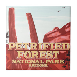 Carreau Parc national de la forêt pétrifiée, Arizona.