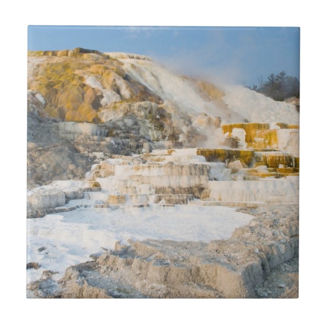 Carreau Parc national de Yellowstone (Devant)