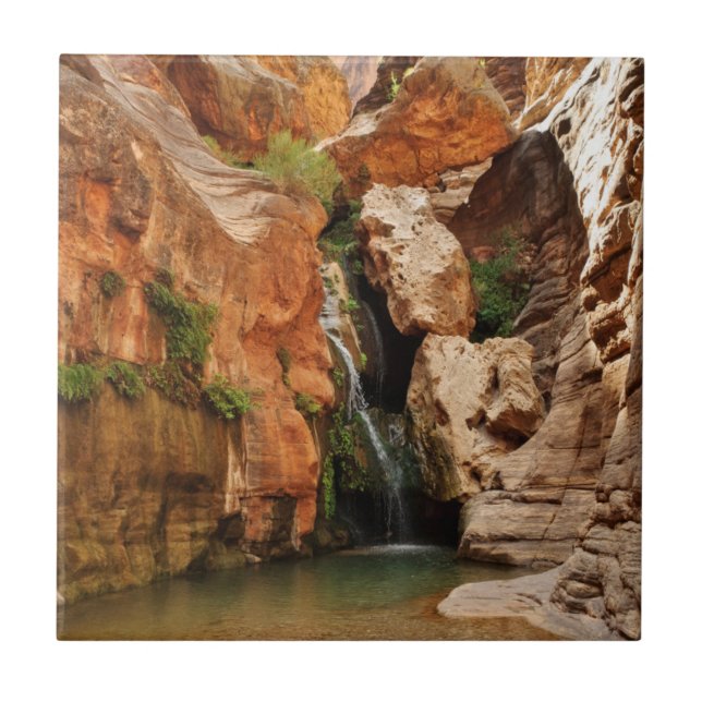 Carreau Parc national du Grand Canyon, Arizona (Devant)