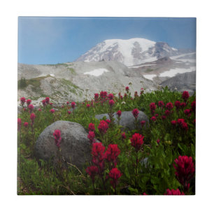 Carreau Parc national du mont Rainier, Mont Rainier 1