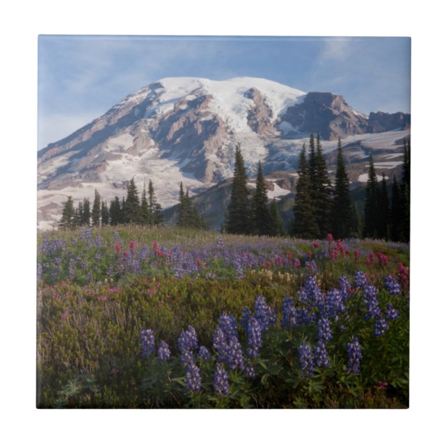 Carreau Parc national du mont Rainier, Mont Rainier 3 (Devant)