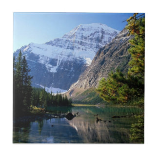 Carreau Parc national Jasper (Alberta)
