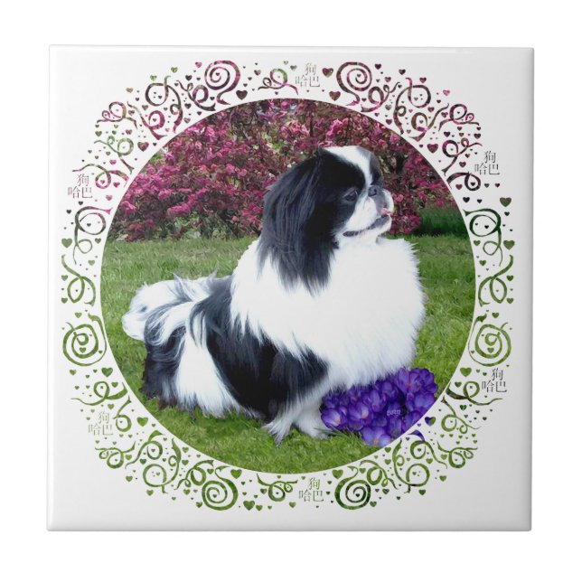 Carreau Parti-color Pekingese Dogs (Devant)