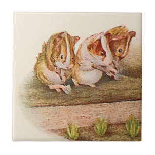 Carreau Partie de jardinage de cobayes de 2