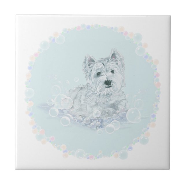 Carreau Pas un autre bain (Devant)