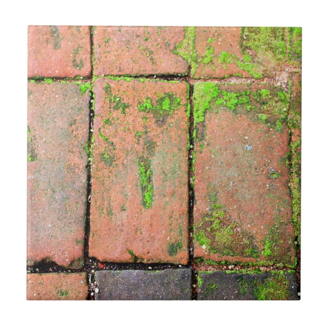 Carreau Passage couvert de briques (Devant)