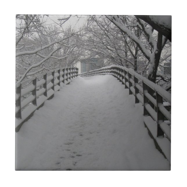 Carreau Passerelle (Devant)