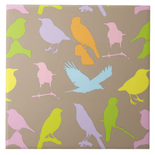 Carreau Pastel Coloured Variété d'oiseaux Motif