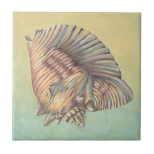 Carreau Pastel Large Conch Shell