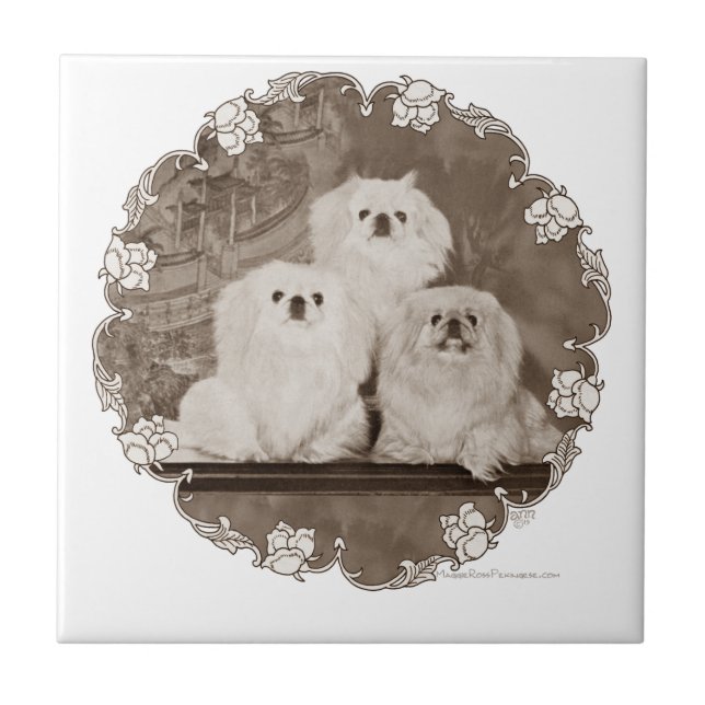 Carreau Patrimoine (Devant)