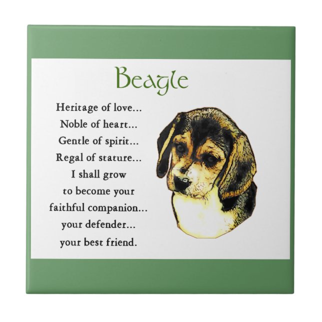 Carreau Patrimoine beagle de l'Amour (Devant)