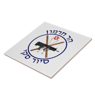 Carreau Patrouille de ski du Mont Hermon