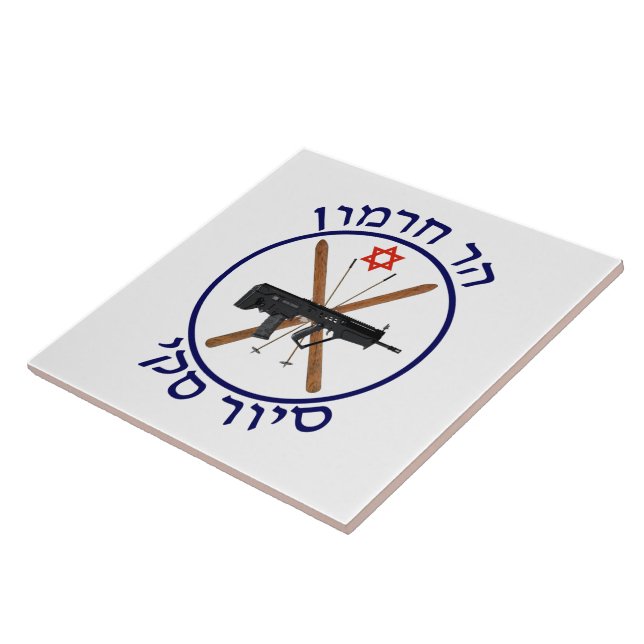 Carreau Patrouille de ski du Mont Hermon (Côté)