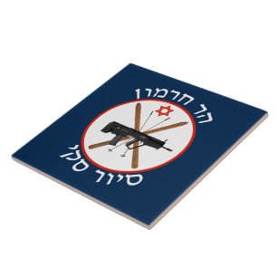 Carreau Patrouille de ski du Mont Hermon