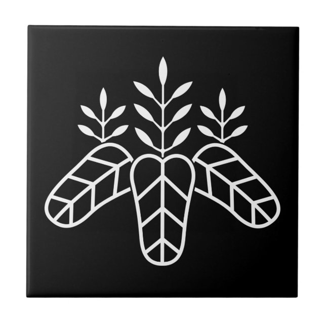 Carreau Paulownia taiko (Devant)