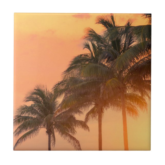 Carreau Paumes de Miami (Devant)