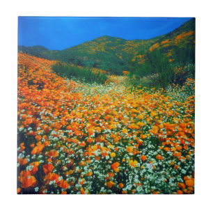 Carreau Pavots de Californie et fleurs sauvages Popcorn
