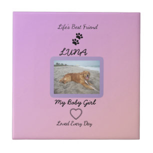 Carreau Pawprint Heart Quotidien pour l'animal de compagni