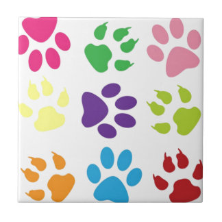 Carreau Paws colorés pour chiens
