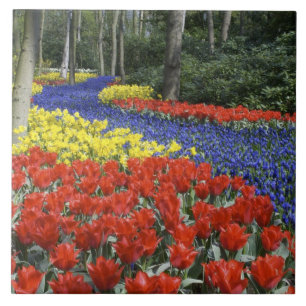 Carreau Pays-Bas, Hollande, Lisse, Keukenhof Gardens