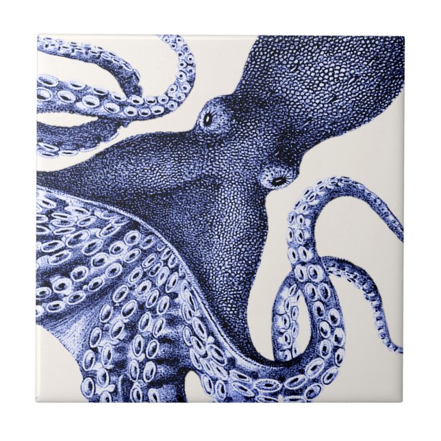 Carreau Paysage Bleu Octopus (Devant)