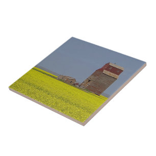 Carreau Paysage d'ascenseur de prairie