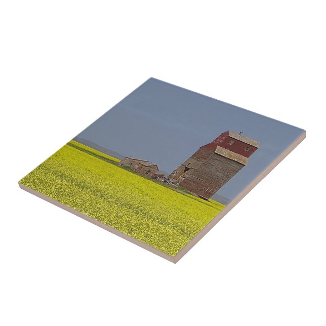 Carreau Paysage d'ascenseur de prairie (Côté)